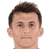 A. Budimir