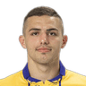 N. Krstović